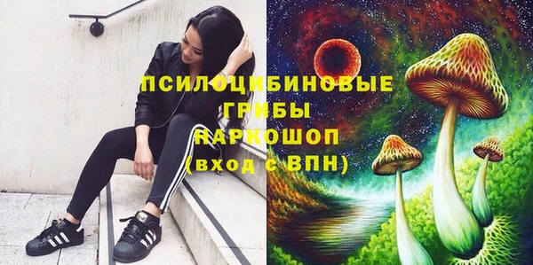ECSTASY Абинск
